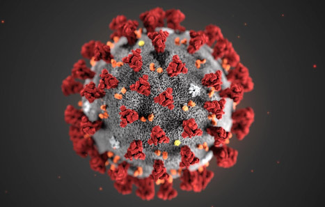 Coronavirus COVID-19