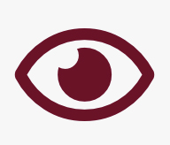 Vision icon — human eye